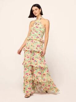 Romily Primrose Print Maxi Dress